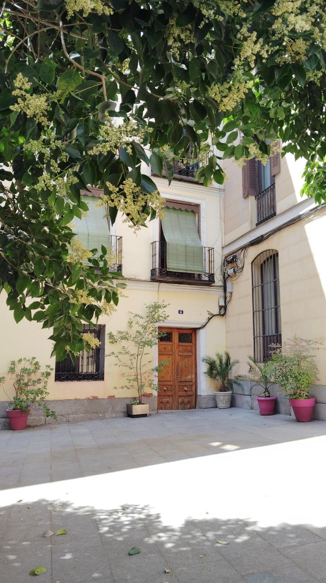 Centrico Apartamento Con Patio Madrid Eksteriør bilde